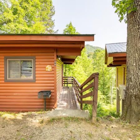 Lazy Bear Cabin Near Nantahala Outdoor Center And Bryson City Kültér fotó