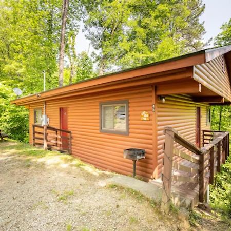 Lazy Bear Cabin Near Nantahala Outdoor Center And Bryson City Kültér fotó