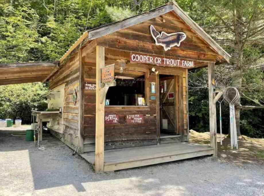 Lazy Bear Cabin Near Nantahala Outdoor Center And Bryson City Kültér fotó