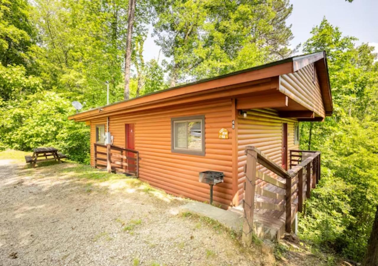 Lazy Bear Cabin Near Nantahala Outdoor Center And Bryson City Kültér fotó