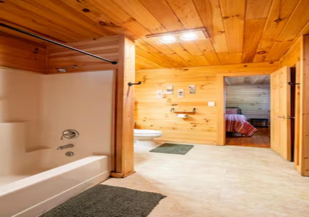 Lazy Bear Cabin Near Nantahala Outdoor Center And Bryson City Kültér fotó